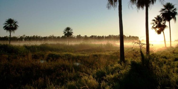 Mitad de semana con ambiente fresco a cálido, anuncia Meteorología