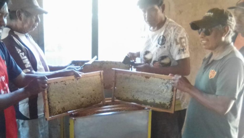 Comunidad indígena logró una muy buena cosecha de miel en el distrito de Boquerón