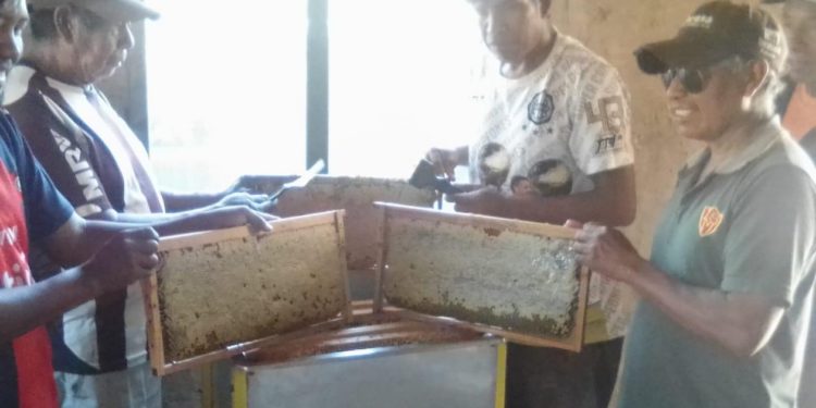 Comunidad indígena logró una muy buena cosecha de miel en el distrito de Boquerón