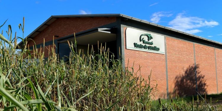 Yurumí ofrece alrededor de 150 variedades de semillas para todos los productores agrícolas