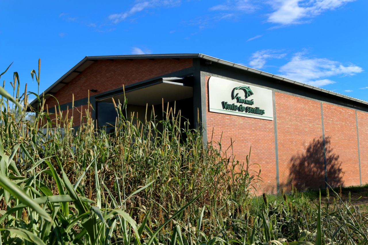 Yurumí Semillas: una de las mejores empresas del agro en Paraguay