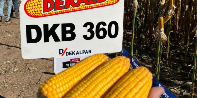 DEKALPAR marca territorio en Expo Pioneros 2022