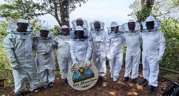Más de 2,5 millones de abejas salvadas gracias a una iniciativa en Guatemala Más de 2,5 millones de abejas salvadas gracias a una iniciativa en Guatemala