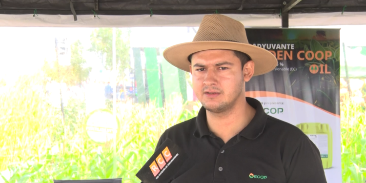 Con fertilizantes de base, ECOP aporta a la producción agrícola en el Chaco Con fertilizantes de base, ECOP aporta a la producción agrícola en el Chaco