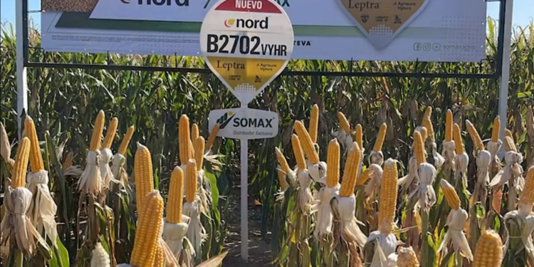 SOMAX Agro con 13 años en el rubro agrícola SOMAX Agro con 13 años en el rubro agrícola