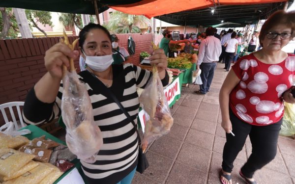 Feria de la Agricultura Familiar Campesina del MAG este jueves en San Lorenzo Feria de la Agricultura Familiar Campesina del MAG este jueves en San Lorenzo