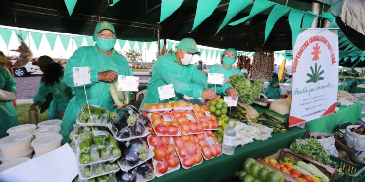 Feria de la Agricultura Familiar Campesina en Plaza de los Héroes de Pilar