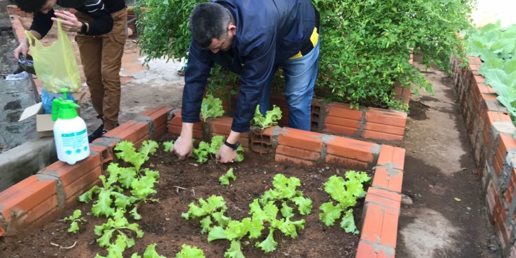Interno de Tacumbú cultiva los alimentos para el penal