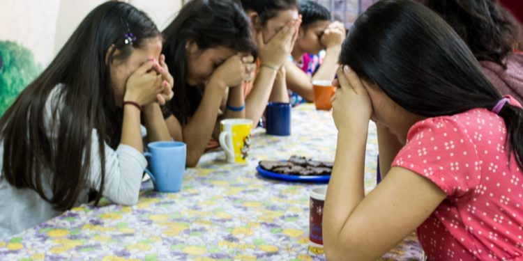 Lanzan campaña de concientización denominada “Dame Refugio”