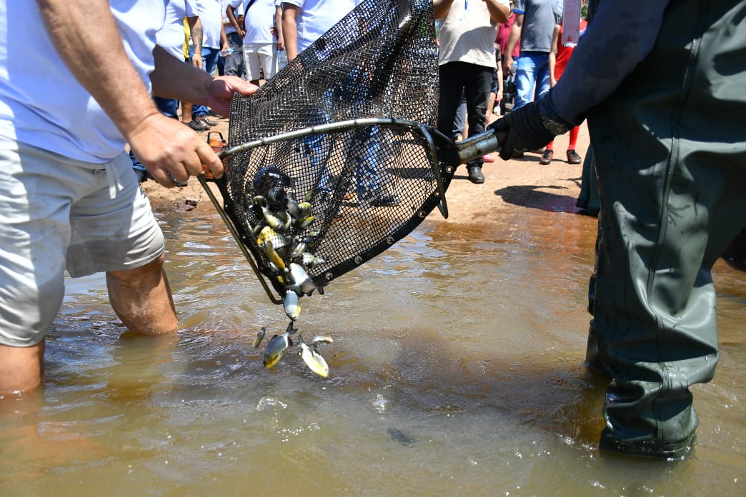 ITAIPU se suma al Día Mundial de la Migración de Peces con acciones de repoblamiento y concienciación