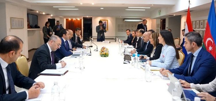 Paraguay y Azerbaiyán evaluaron posibilidades de negocios en el área de gas y petróleo
