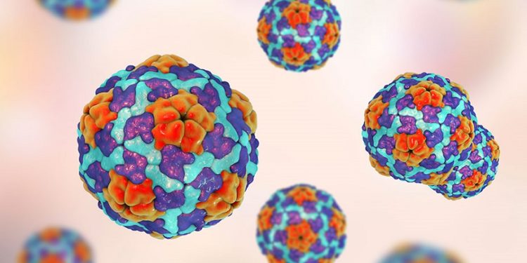 Hepatitis Aguda: aún no se identifica el causante de la enfermedad