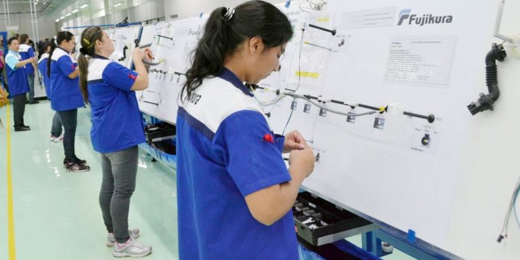 Vidriera de Empleo tiene más de 100 vacancias disponibles