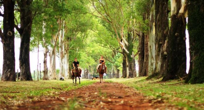 Paraguay plantea desarrollar un turismo enfocado en el cuidado de la naturaleza y la preservación cultural