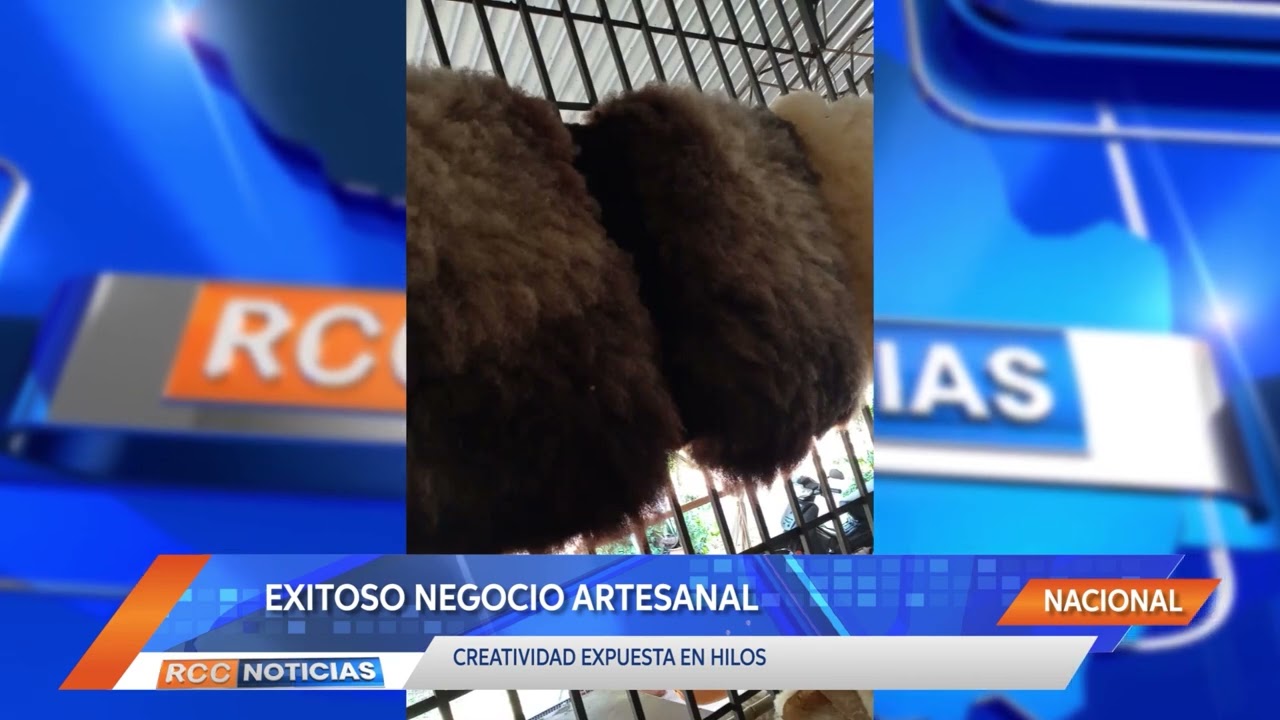 Exitoso Negocio Artesanal en San Miguel, departamento de Misiones