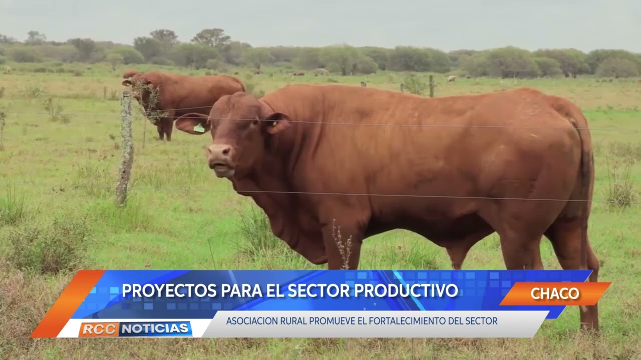 Asociación Rural Regional Boquerón encabeza proyectos para el fortalecimiento del sector productor.