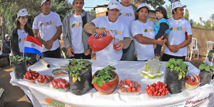 El MAG lanza la 3° edición del “Delivery de la Frutilla”