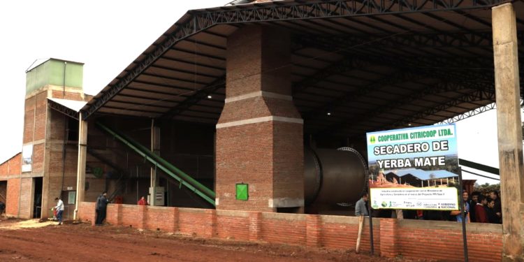 Moderna secadora de yerba mate fue inaugurada en Itapúa Moderna secadora de yerba mate fue inaugurada en Itapúa