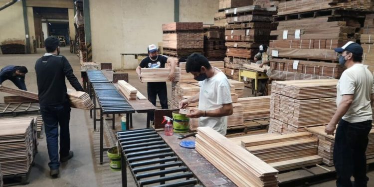 La Federación Paraguaya de Madereros inició la “Semana de la Madera”