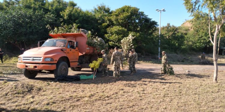 Realizan trabajo de limpieza en el Parque de la Solidaridad Realizan trabajo de limpieza en el Parque de la Solidaridad
