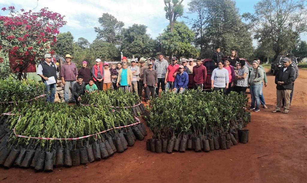 Familias campesinas consolidan producción para aprovechar mejoramiento vial del tramo San Juan Nepomuceno