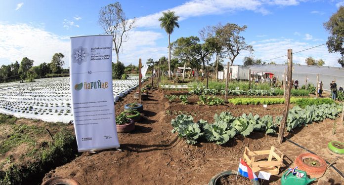 Programa Ñapu’ake habilita nuevo centro de producción y capacitación en la ciudad de Areguá Programa Ñapu’ake habilita nuevo centro de producción y capacitación en la ciudad de Areguá