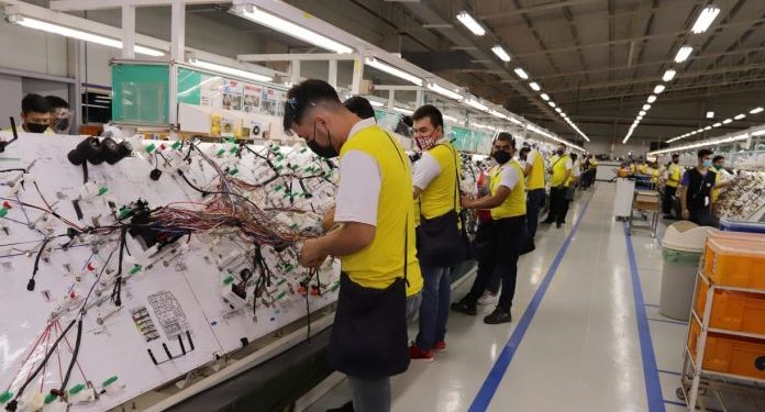Vidriera de Empleo cuenta con 371 vacancias laborales esta semana