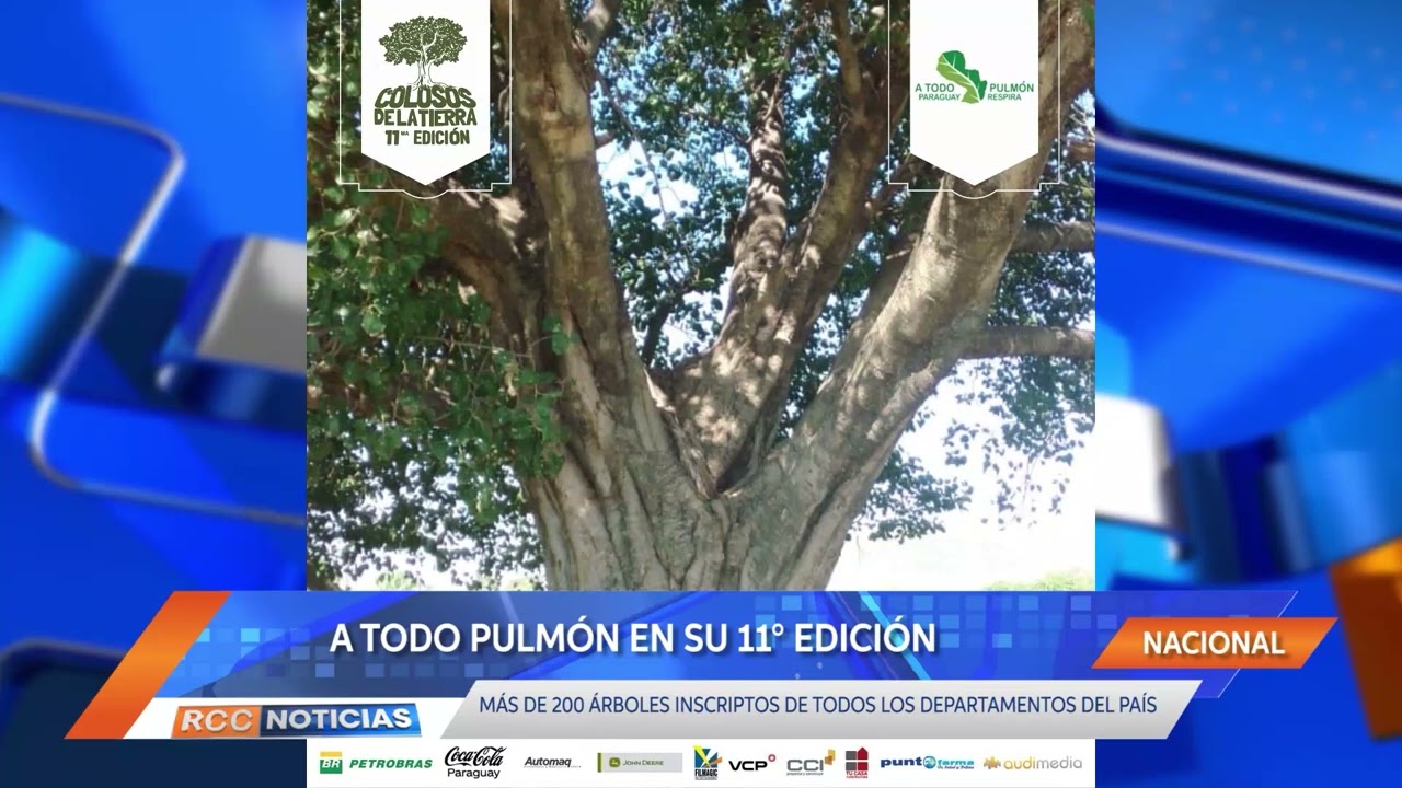 Colosos de la Tierra: Ya suma más de 200 los árboles inscriptos.