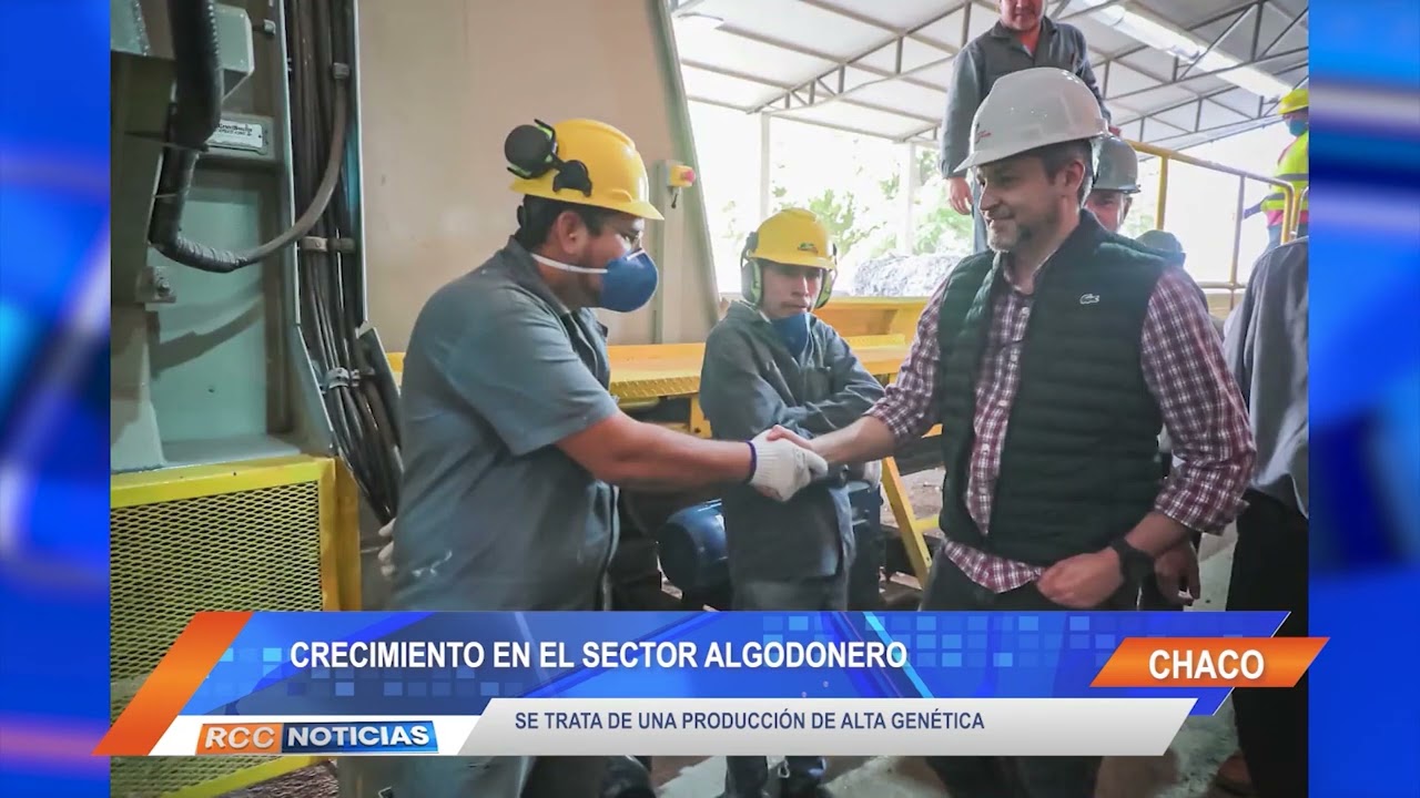 Destacan potencial de crecimiento del sector algodonero durante visita presidencial.