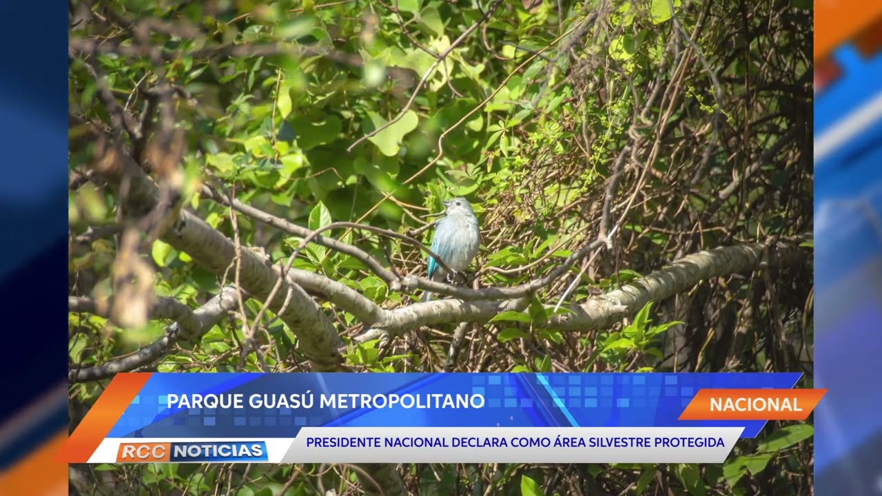 Parque Guasú Metropolitano pasó a ser área silvestre protegida.