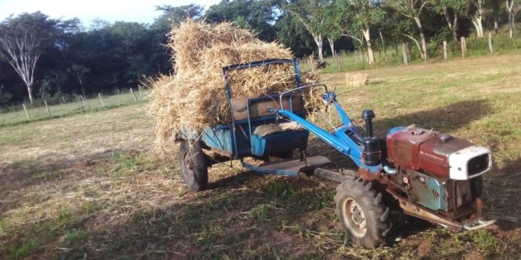 El Ministerio de Agricultura y Ganadería realizó jornadas de extensión rural en distintos puntos del país