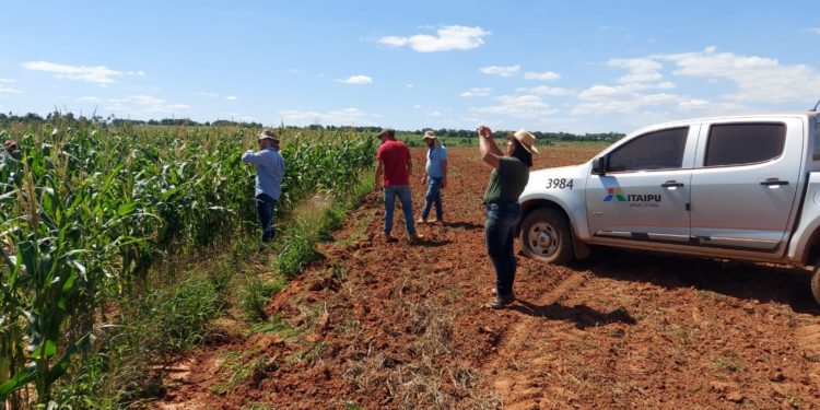 En siete años Itaipú desarrolló 12 proyectos de agricultura en el país