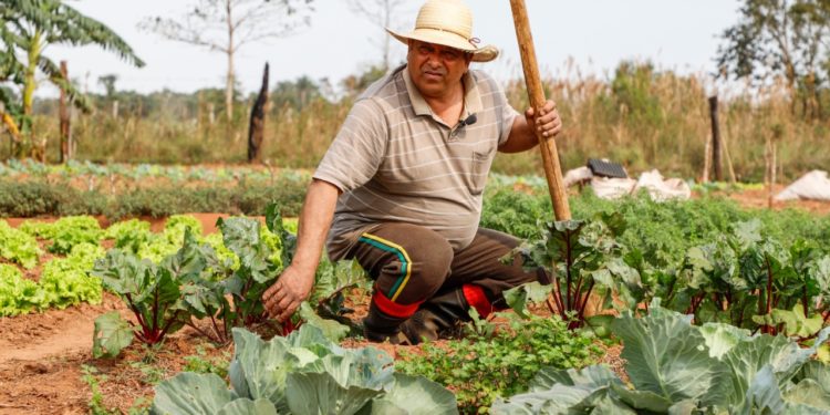 En siete años se desarrollaron 12 proyectos de agricultura que benefician a 77.000 familias rurales del país En siete años se desarrollaron 12 proyectos de agricultura que benefician a 77.000 familias rurales del país