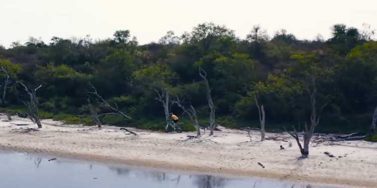 A pedalear se ha dicho, Cooperativa Chortitzer organiza otra gran competencia, esta vez en bici