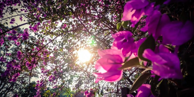 Se espera una jornada cálida para hoy con vientos moderados del noreste