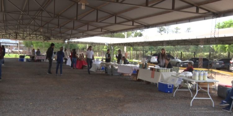 Llega mercado granjero en su cuarta fecha de la mano de Cooperativa Chortitzer