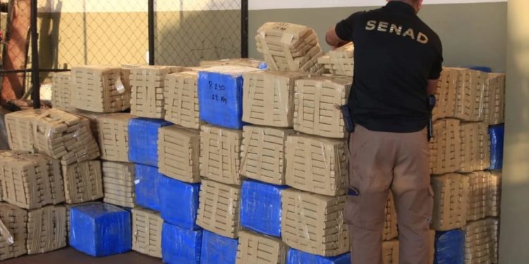 Paraguay y Brasil anulan 415 toneladas de marihuana y perjudican con USD 12,5 millones al crimen organizado Paraguay y Brasil anulan 415 toneladas de marihuana y perjudican con USD 12,5 millones al crimen organizado