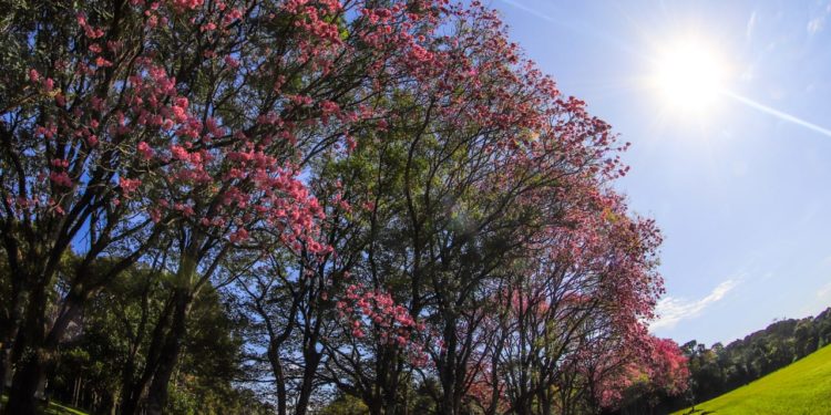 Mitad de semana con ambiente caluroso e ingreso de frente frío para mañana Mitad de semana con ambiente caluroso e ingreso de frente frío para mañana