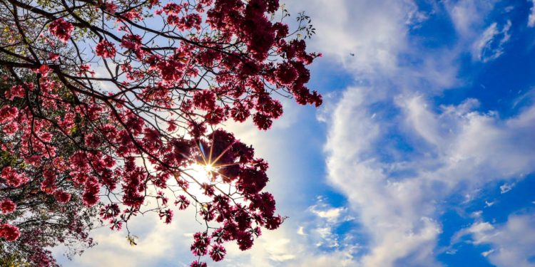 Sábado soleado y con temperaturas calurosas