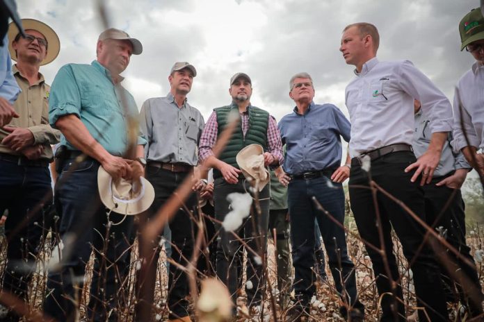 Destacan potencial de crecimiento del sector algodonero durante visita presidencial