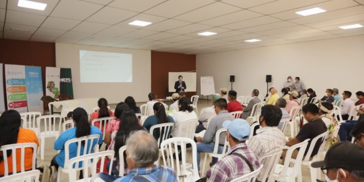 Pueblos indígenas eligen representantes para la Junta Directiva de Paraguay + Verde Pueblos indígenas eligen representantes para la Junta Directiva de Paraguay + Verde