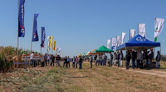 Arrancará la Quinta Jornada de Producción Sostenible de Cultivos de Verano en el Chaco