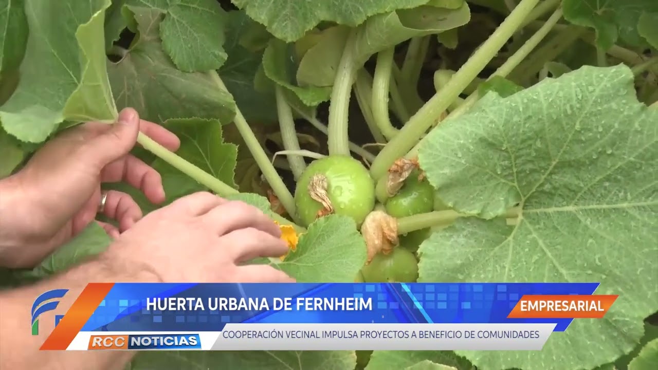 Cooperativa Fernheim impulsa la cooperación y el progreso a través de proyectos