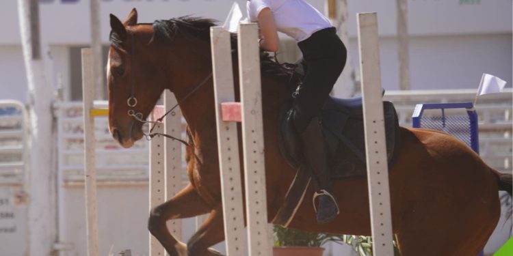 Exitoso despliegue de la Expo Rodeo Trébol a tres días de su apertura