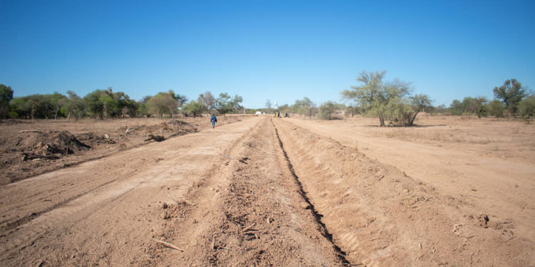 Realizan apertura de caminos y limpieza del nuevo barrio de Santa Teresita
