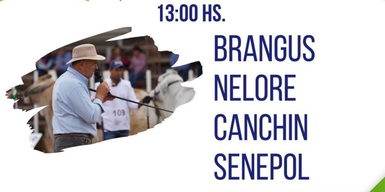 Tras inclemencias climáticas, la Expo Rodeo Trébol re agendó actividades para esta tarde