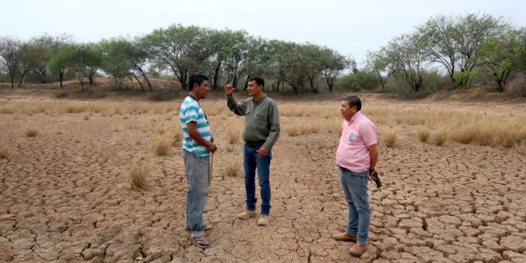 Instituciones gubernamentales se enfocan en el mantenimiento de tajamares en el Chaco