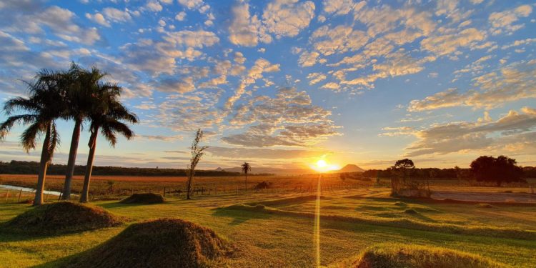 Ascenso de temperatura y vientos moderados del sector norte-noreste