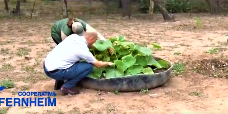 Cooperativa Fernheim impulsa la cooperación y el progreso a través de proyectos con comisiones vecinales