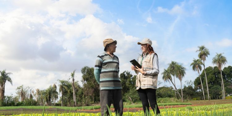 Arranca el censo agrícola nacional en 4 departamentos
